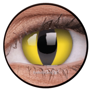  Order now to get  your contact lenses before Halloween!