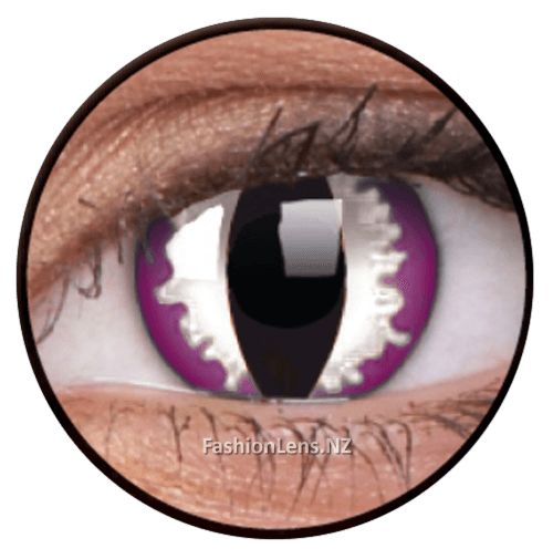 Crazy purpledragon ColourVue Contact Lenses. Fashion Lens NZ.